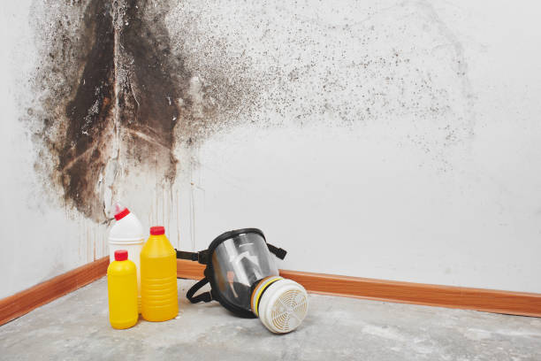 Best Bathroom Mold Remediation in Milford, NJ